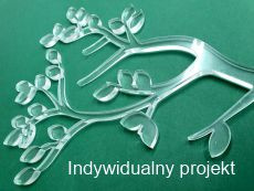 Indywidualny projekt Indywidualny projekt